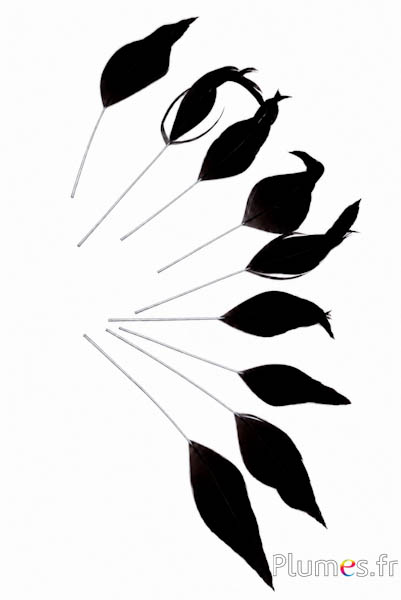 Gekruld verenblaadje zilveren schacht - 7-10 x 1-2 cm - wit-natuurzwart